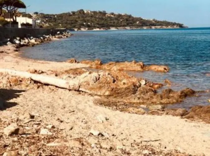 With Pool Magnificent Sea View 80m To Appartement *